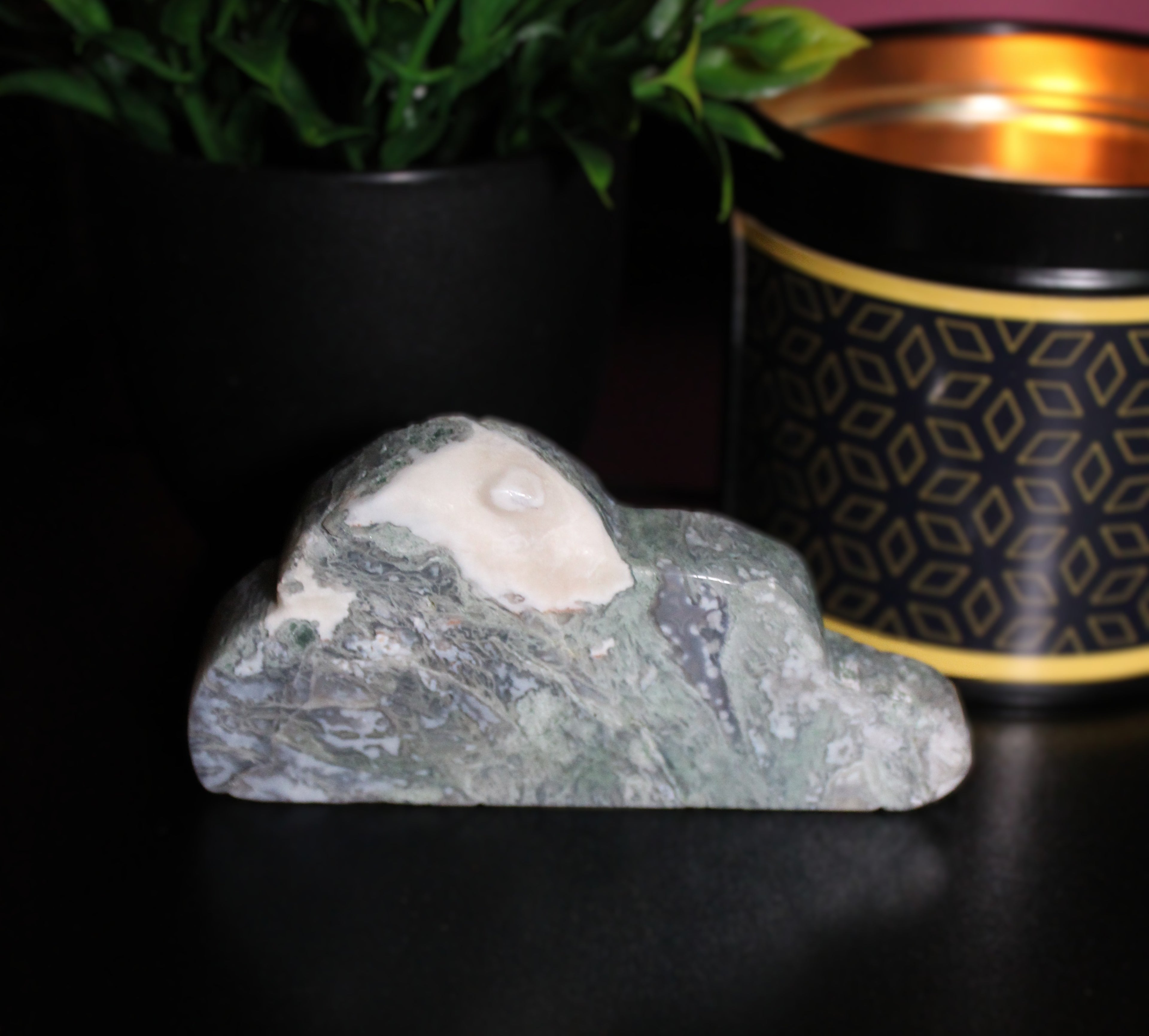 Polished Moss Agate Freeform 3.5 Inches - LunasINN