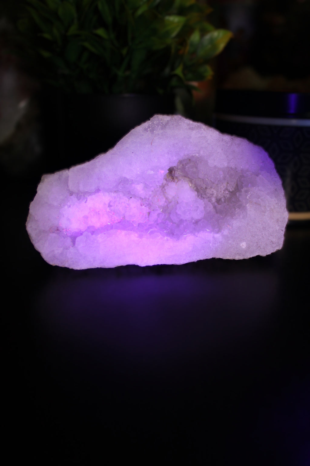 Natural Clear Quartz Druzy Cluster - LunasINN