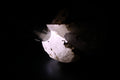 Natural White Calcite Crystal Cluster on Matrix